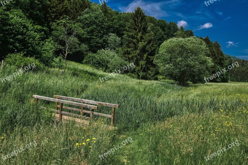 Front Weidenthal Has Bridge Forest Trees Meadow