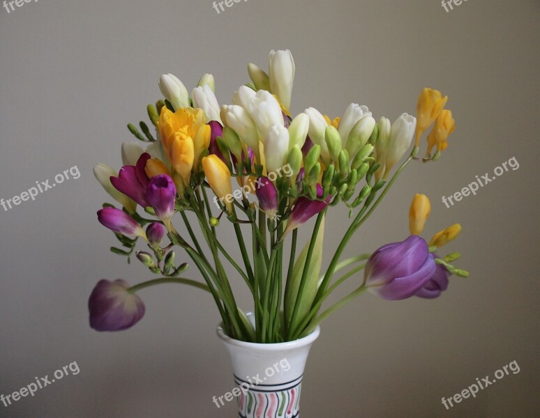 Flower Bouquet Still Life Freest Of Flowers