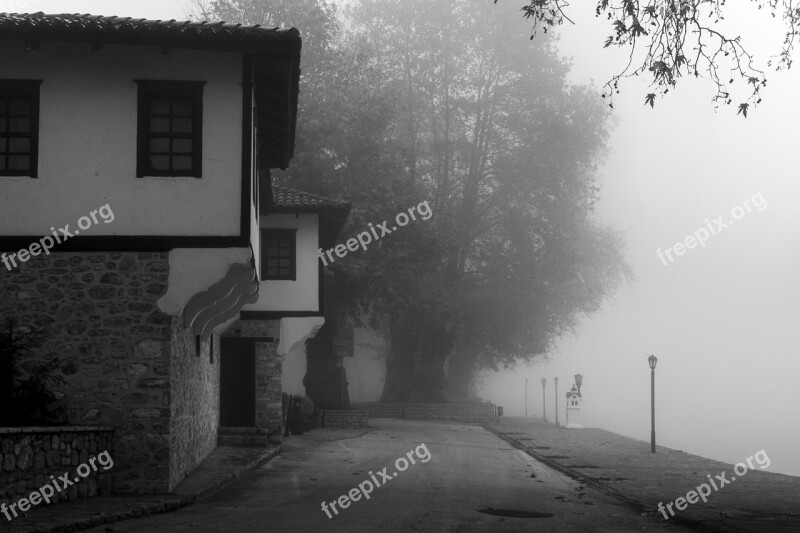 Fog Nature Landscape Trees Mood