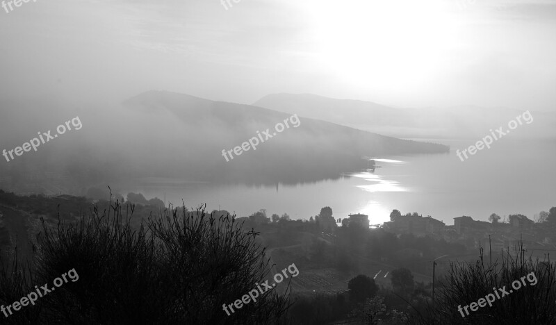 Fog Nature Landscape Trees Mood