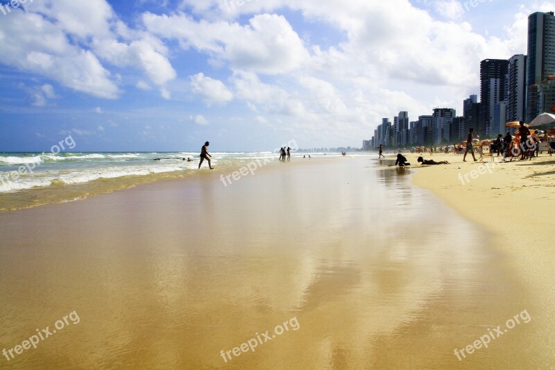 Recife Beach Praia Nature Free Photos