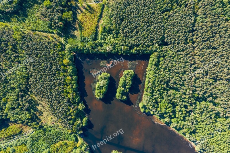 Forest Drone Aerial Top-down Poland