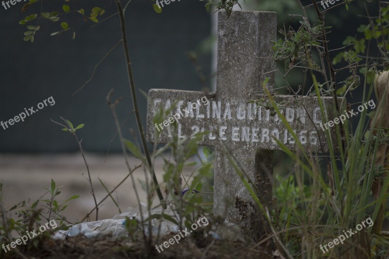 Pantheon Virgin Cemetery Maria Cruz