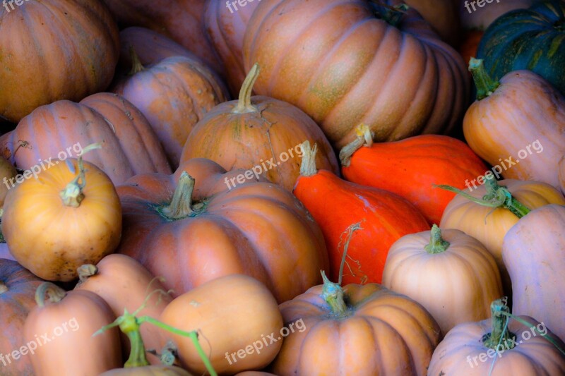 The Latest Autumn Orange Food Colorful