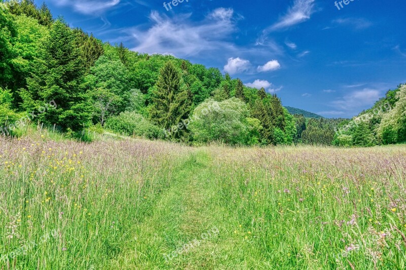 Front Weidenthal Has Gorgeous Clouds Trees Meadow