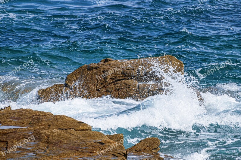 Sea Stones Water Rocks Beach