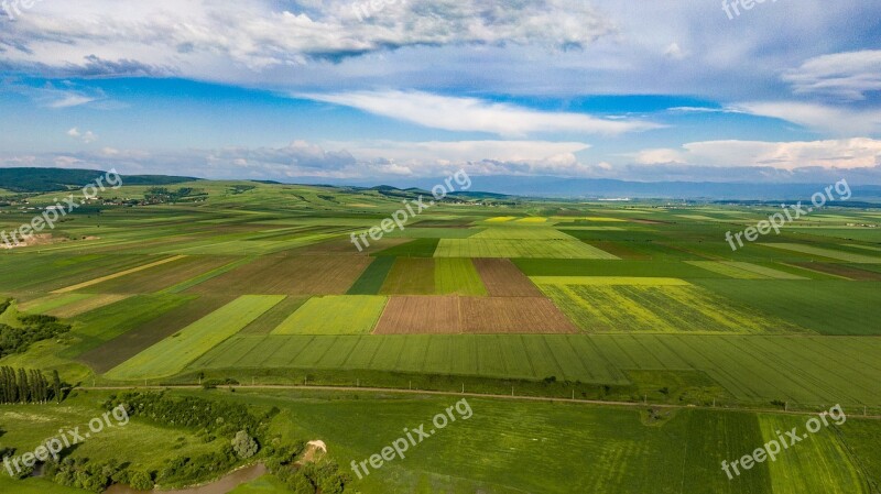 Field Nature Agriculture Landscape Summer