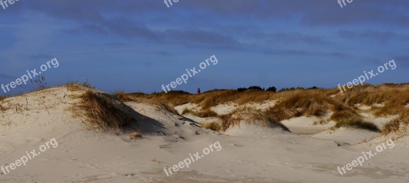 Dunes Amrum Island Nordsee Sand