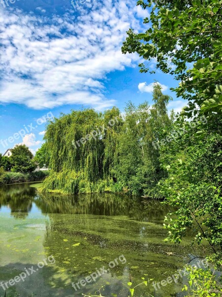 Pond River Landscape Waters Ducks