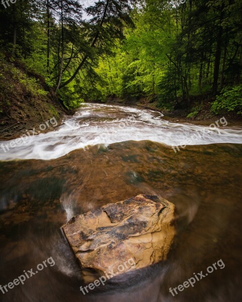 Nature Water Outdoors Stream Creek