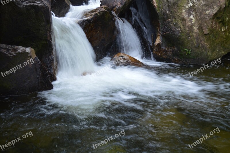 San Carlos Water Waters Antioquia Forest