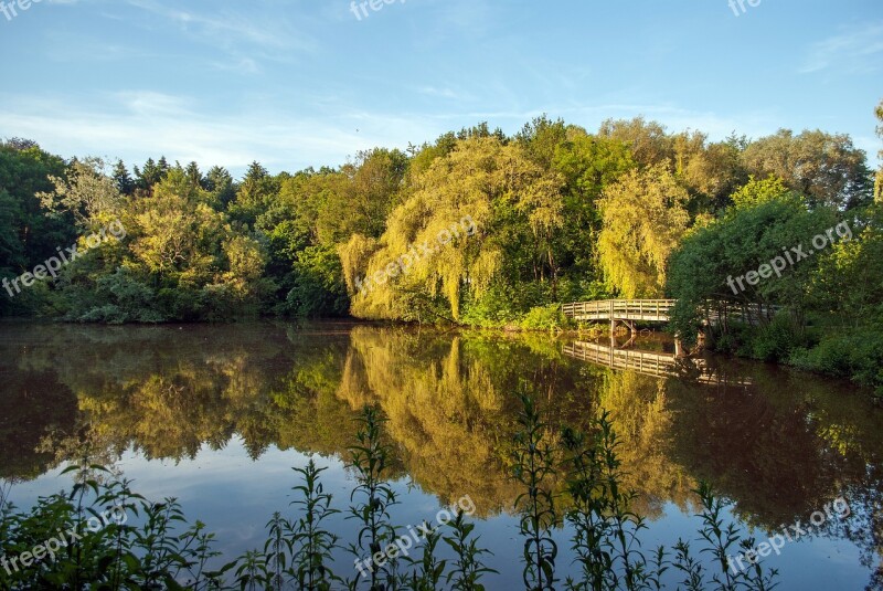 Nature Enschede The Netherlands Pond Bridge Landscape