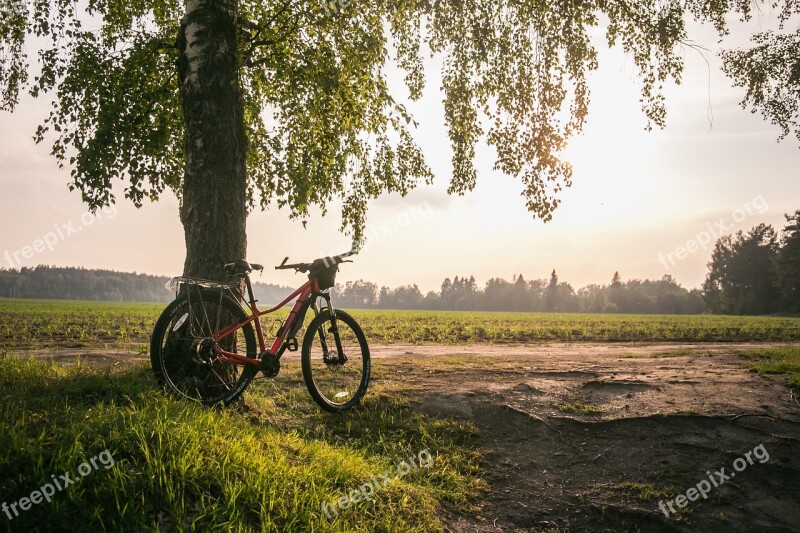 Bike Summer Nature Leisure Sports