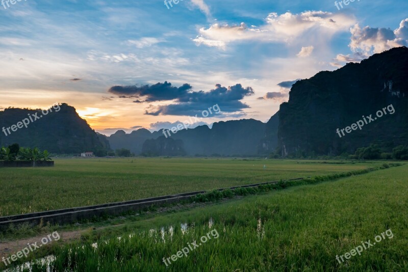 Southeast Asia Vietnam Rice Paddy Rice Green Fields