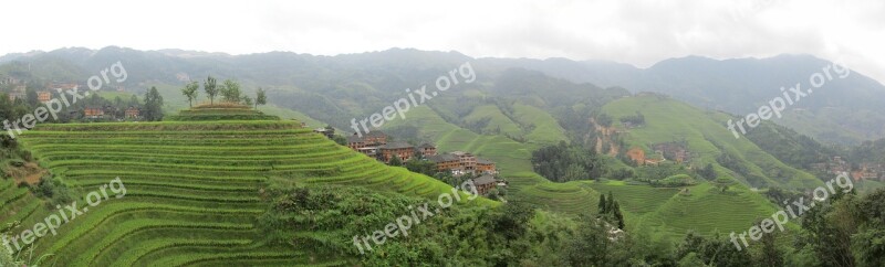 Rice China Landscape Fog Hill