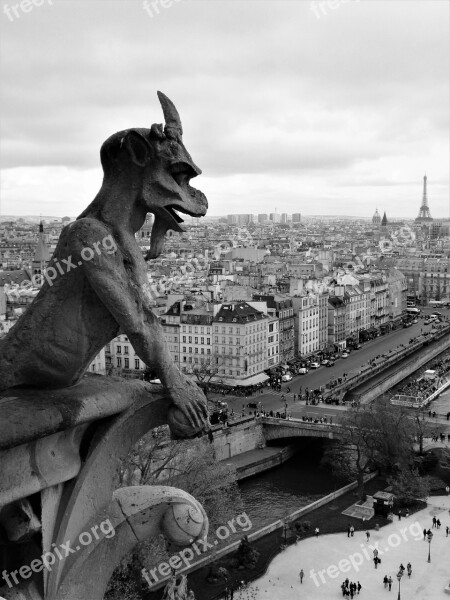 Gargoyle Notre Dame Paris France Eiffel Tower