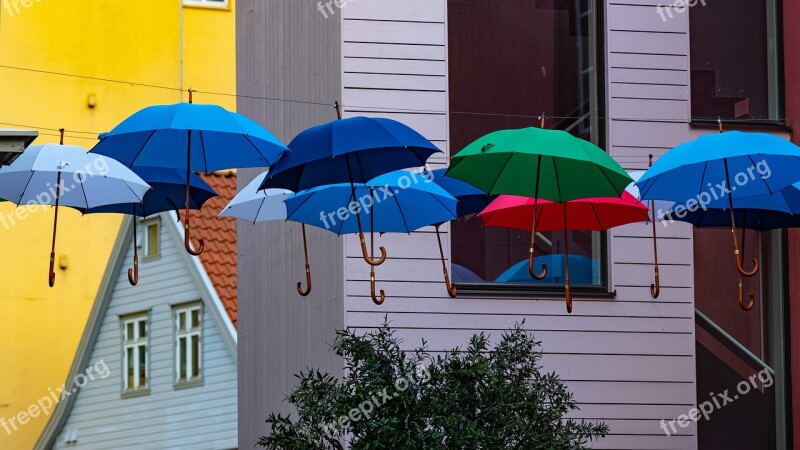 House Umbrellas Colorful Color Art