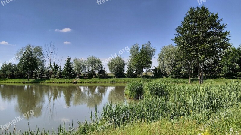 Landscape Pond Lake Nature Reflection