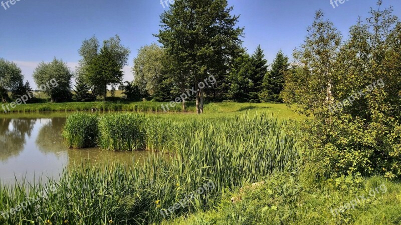 Landscape Pond Lake Nature Reflection