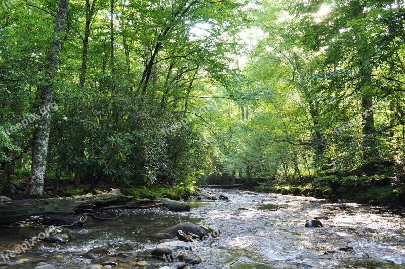 Forest River Nature Landscape Water