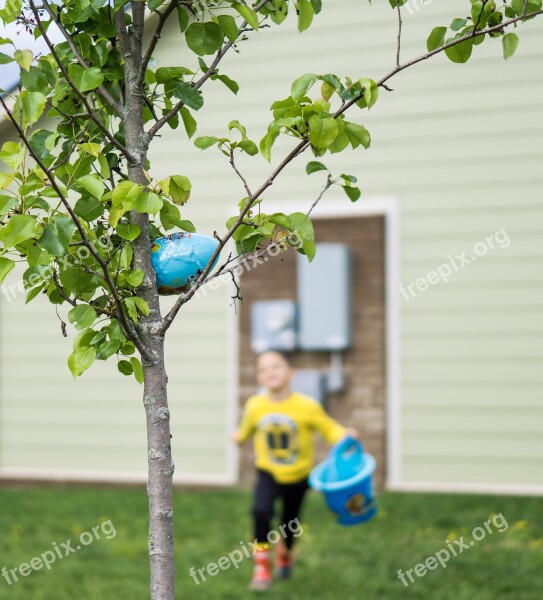 Easter Kids Eggs Basket Seasonal