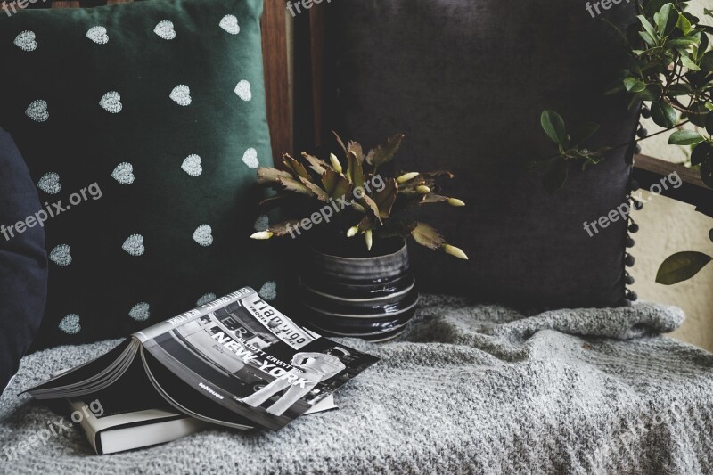 Stilllife Cozy Cushion Plant Books