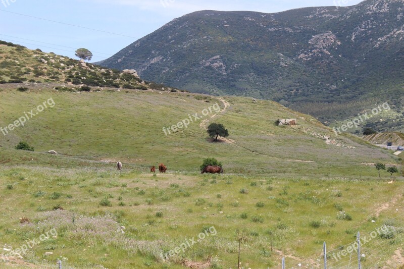 Sardinia Nature Landscape Trip Sky