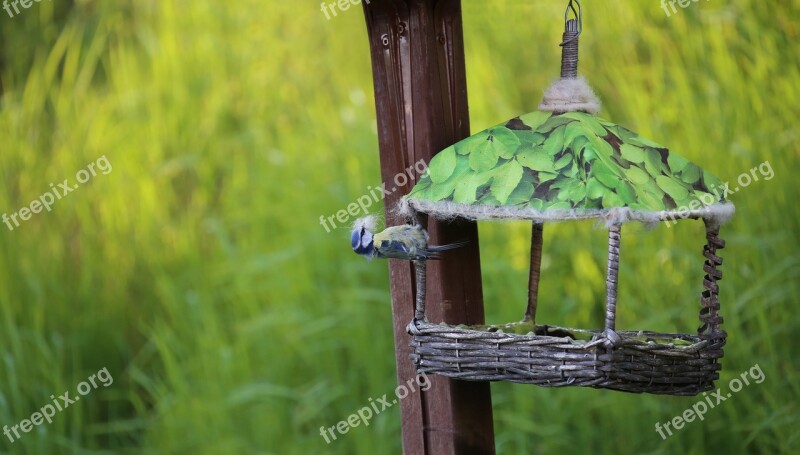 Blue Tit Nesting Material Woolen Threads Felt Bird