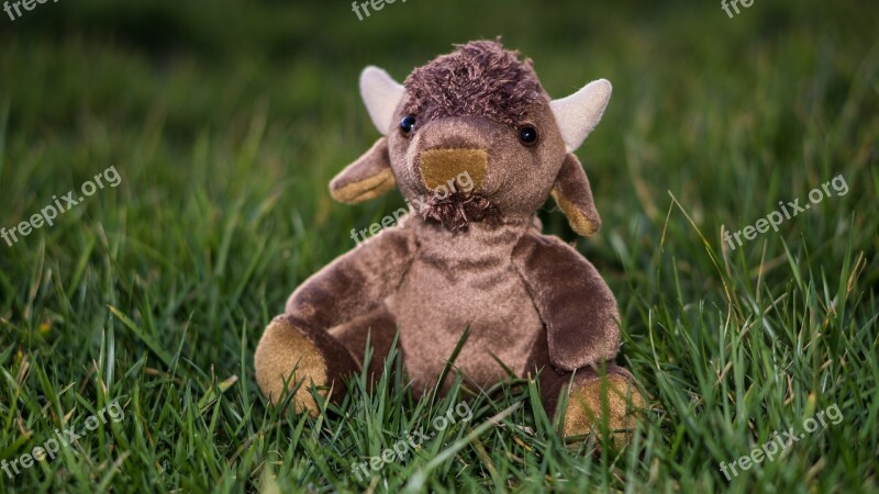 Bison Grass Stuffed Plush Buffalo