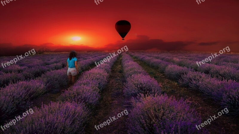 Lavender Girl Nature Alone Happy