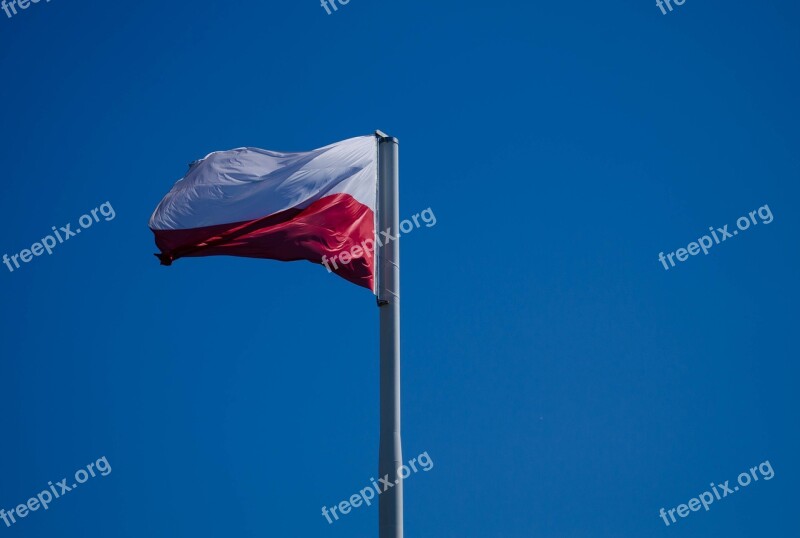 Polish Flag Symbol White-red Patriotism Free Photos