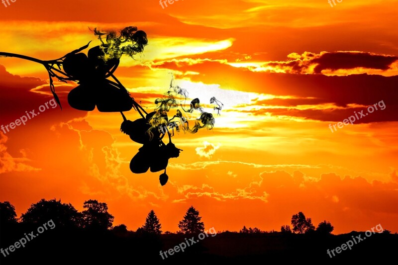 Butterfly Sunset Smoke Silhouette Evening