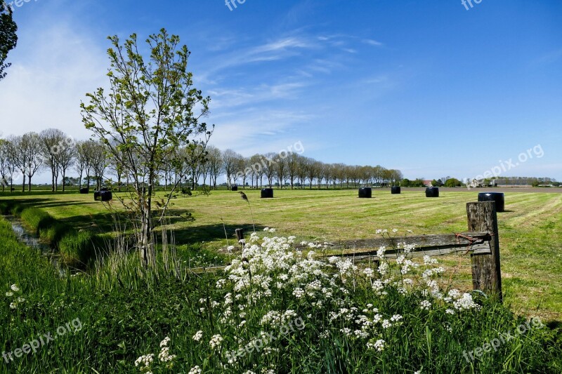 Landscape Fence Heaven Trees Countryside