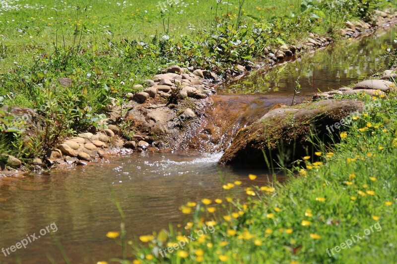 Creek Water Nature Landscape Rock