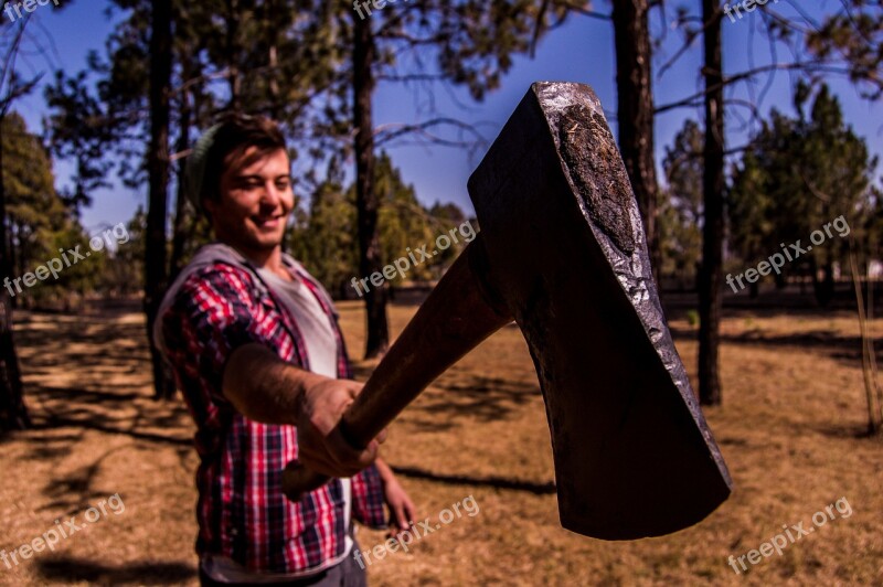 Wood Lumberjack Axe Tree Forest