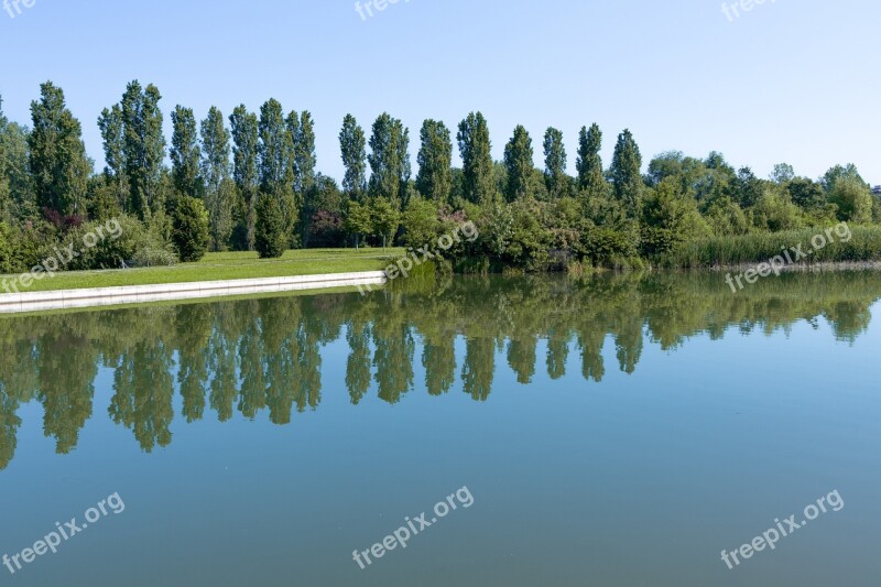 Lake Water Island Boat Tree