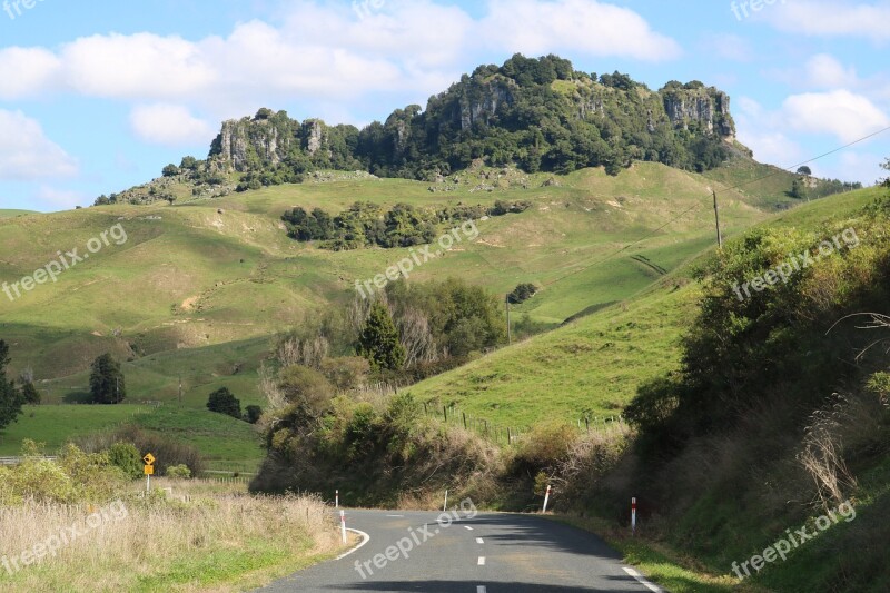 Waikato New Zealand Road Green Countryside