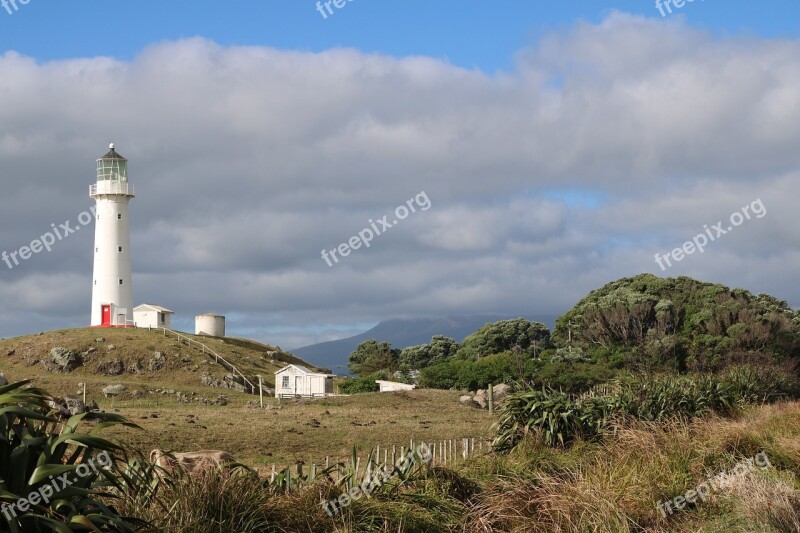 Lighthouse Farm Hill Trees Taranaki