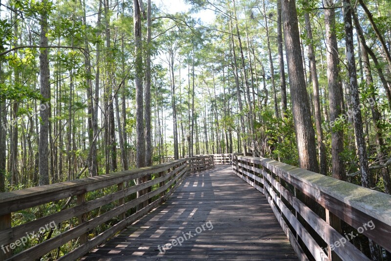 Grassy Waters Preserve West Palm Beach Green Wood Bridge