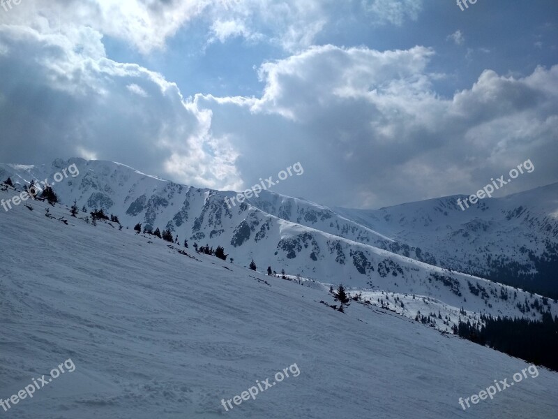 Winter Snow Cold Skiing Sport