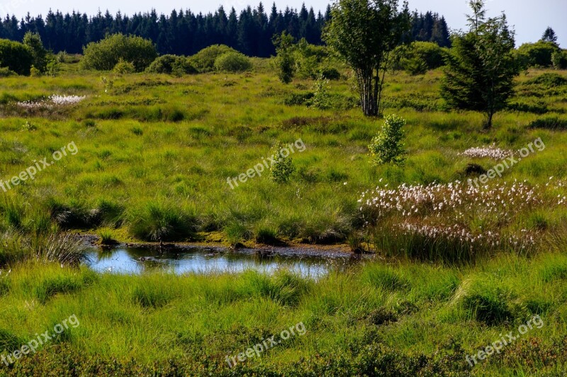 Venn High Fens Belgium Landscape Moor