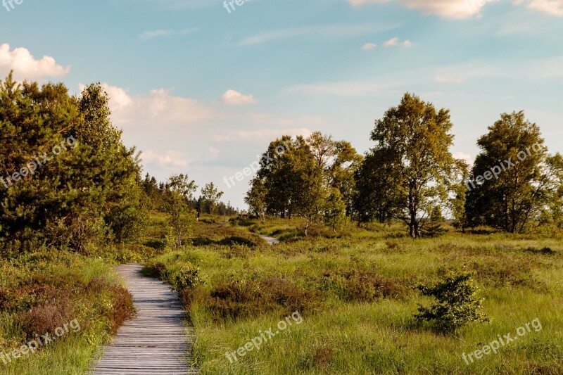 Venn High Fens Belgium Landscape Moor