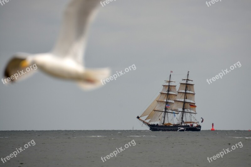 Sail Ship Kiel Week Sea Boat