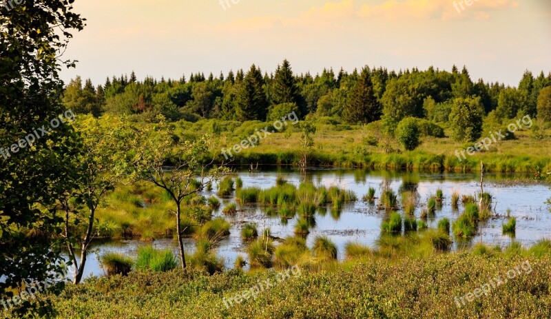 Venn High Fens Belgium Landscape Moor