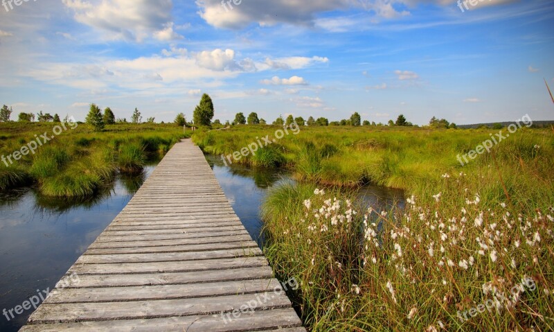 Venn High Fens Belgium Landscape Moor