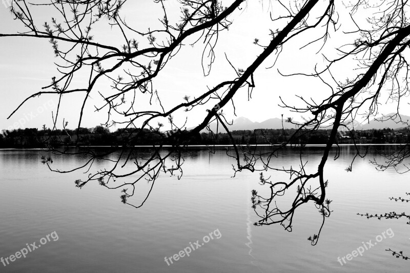 Nature Black White Idyll The