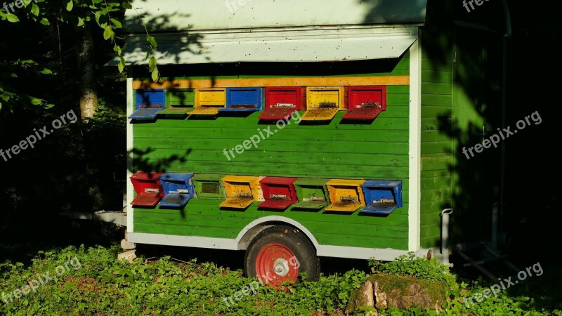 Nature Landscape Forest Beekeepers Truck Bees