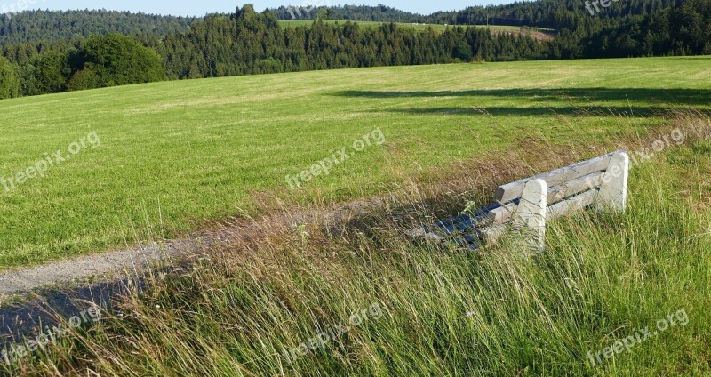 Landscape Nature Meadow Black Forest Vision