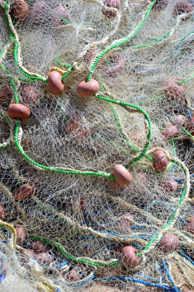 Web Fishing Net Fishing Free Photos