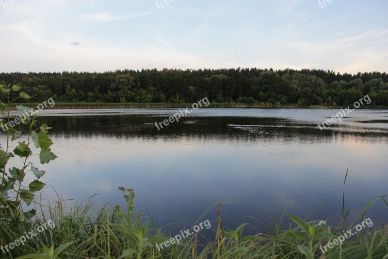 Lake Forest Water Silence Smooth Surface